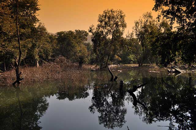 sita-mata-wildlife-sanctuary.jpg