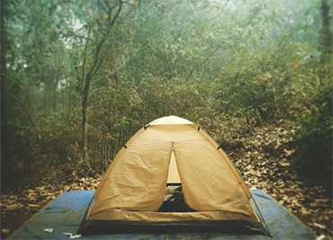 forest-camping-small.png